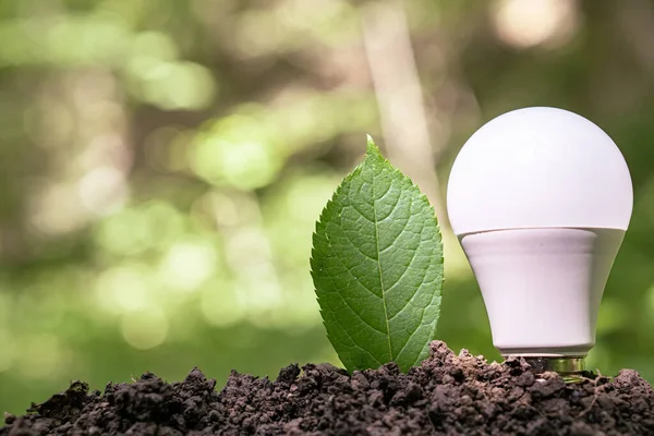 Een Man Gooit Munten Een Combinatie Van Lampen Ansichtkaarten Met — Stockfoto