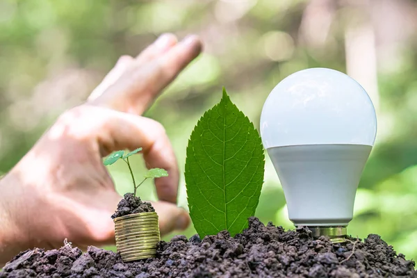 Glühbirne Und Stapel Von Münzen Mit Einer Pflanze Auf Dem — Stockfoto