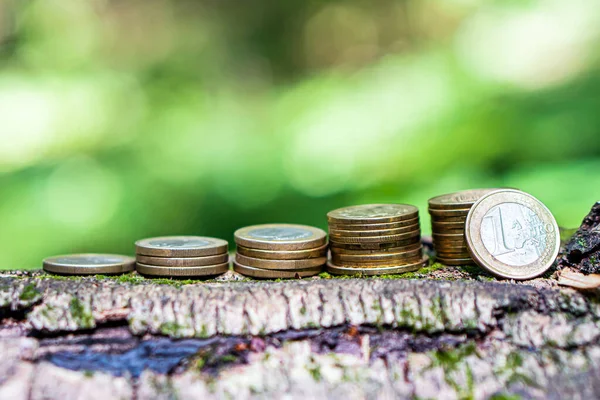 Moedas Empilhadas Casca Uma Árvore Ordem Crescente Símbolo Lucro Estável — Fotografia de Stock