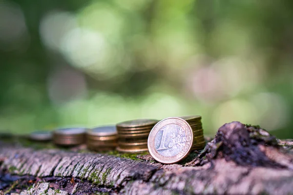 Moedas Empilhadas Casca Uma Árvore Ordem Crescente Símbolo Lucro Estável — Fotografia de Stock