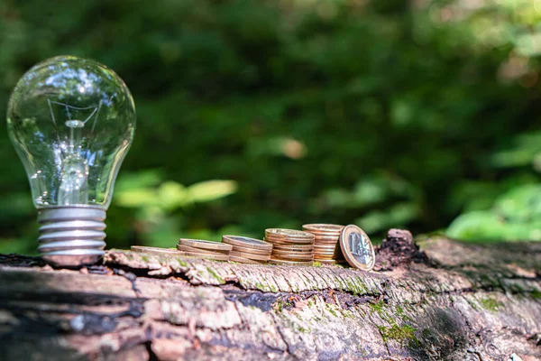 Monedas Apiladas Corteza Árbol Orden Ascendente Las Bombillas Como Símbolo —  Fotos de Stock