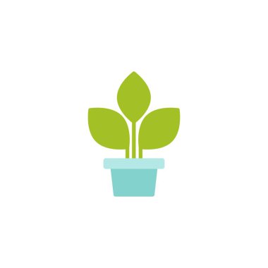 Üç yeşil lahanalı, lahanalı, mavi tencerede çiğ. Beyaza izole edilmiş ikon. Çevre şirketi için logo, tarım, doğa firması, ekoloji, sağlıklı organik gıda ve tarım ürünleri. Vektör İllüstrasyonu