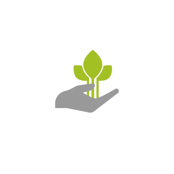 Sprout Hand Handhållande Kvist Med Gröna Blad Tillväxt Starta Upp — Stock vektor