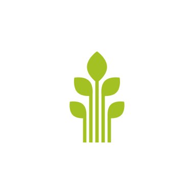 Beş yeşil lahana, filizler, siluet yapraklı çiğ. Beyaza izole edilmiş ikon. Çevre şirketi için logo, tarım, doğa firması, ekoloji, sağlıklı organik gıda ve tarım ürünleri. Vektör İllüstrasyonu