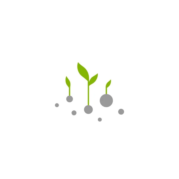 Drei Grüne Sprossen Zweige Roh Mit Blättern Und Samen Ikone — Stockvektor