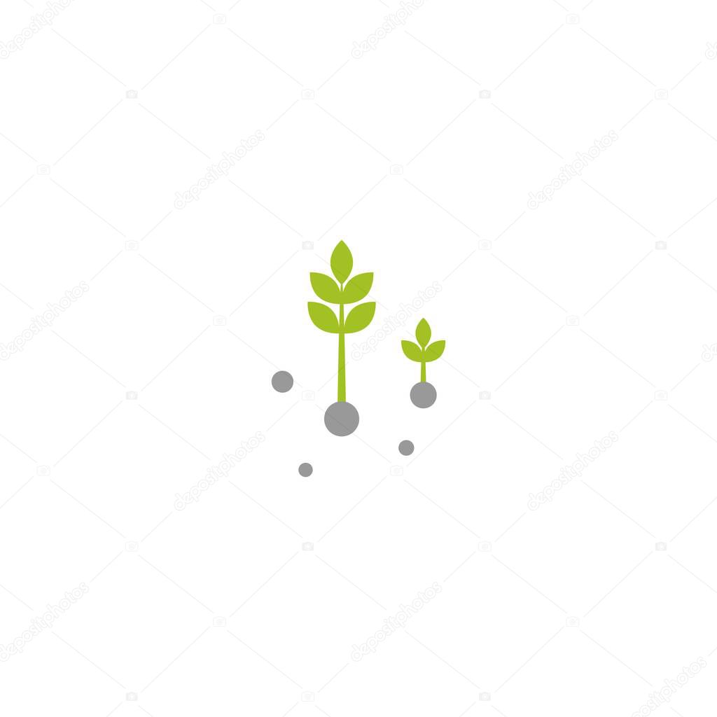 Three Green sprouts, sprigs, raw with leaves and seeds. Icon Isolated on white. Growth symbol. Ecology, agriculture, nature, healthy organic and farm fresh food logo. Vector Illustration