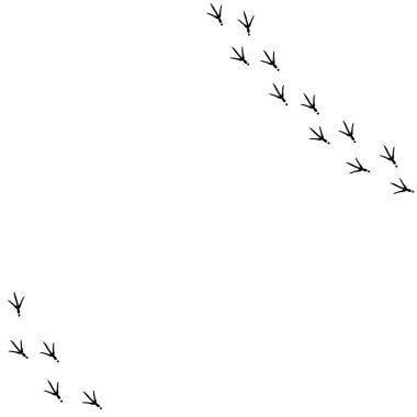 Sağ tarafında kuş izi olan vektör geçmişi. Beyaz arkaplanda Siyah Kuş ayak izleri.