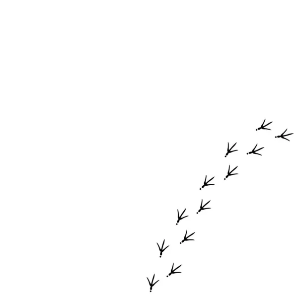 Fond Vectoriel Avec Piste Oiseaux Sur Côté Droit Empreintes Oiseau — Image vectorielle