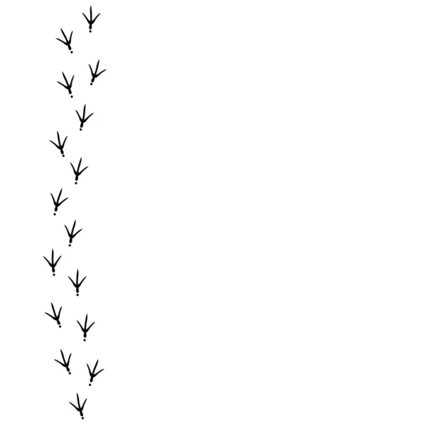 矢量背景 鸟类踪迹在右边 黑鸟的脚印印在白色背景上 — 图库矢量图片