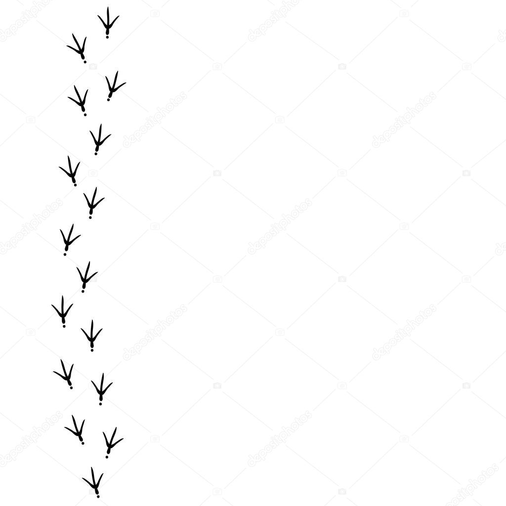 Vector background with bird trail on the right side. Black Bird footprints track on white background.