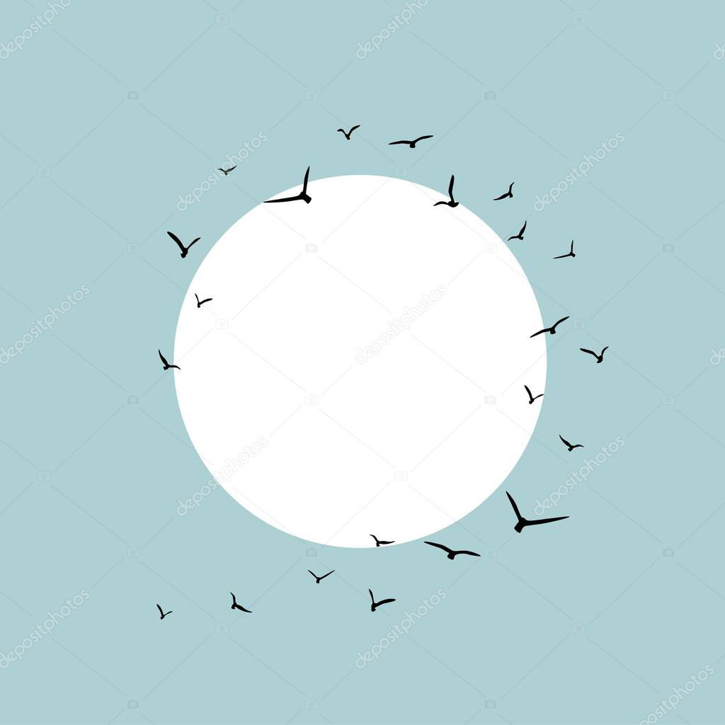 Card frame with circle and flying birds Black swallows in the sky with white sun. Bird trace. Freedom, romantic, dreams, lyric. Text box, background