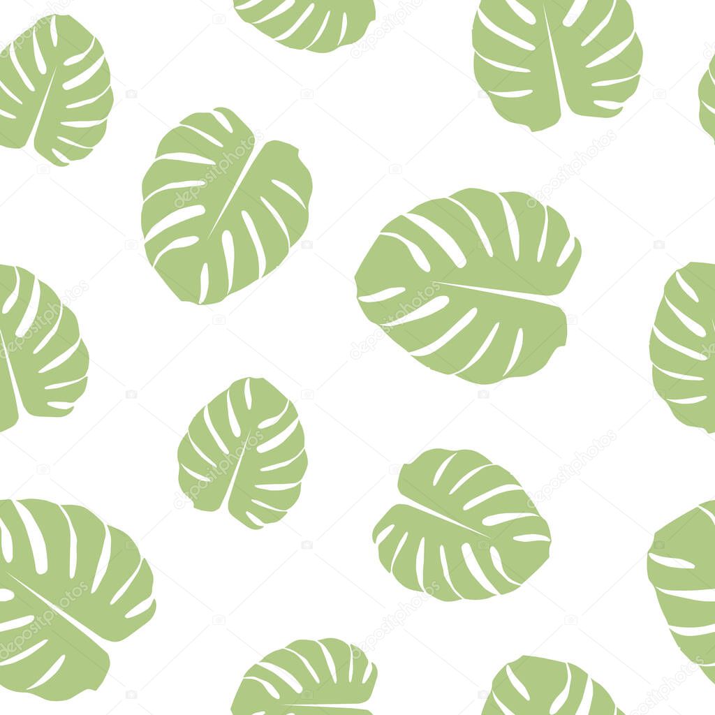 Seamless pattern with sage green monstera leaves on white background. Summer vector ornament with giant jungle leaves. Liana tropical wallpaper
