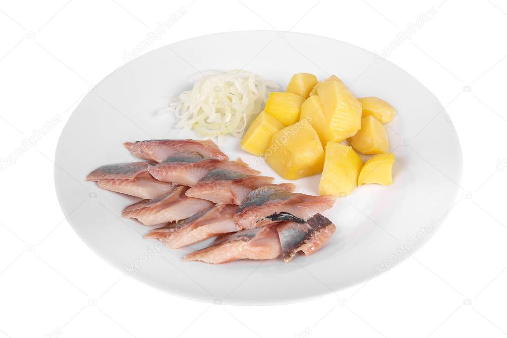 Snack, aperitif before alcohol food isolated white
