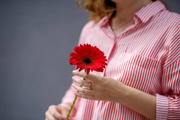 Ett porträtt av rödhåriga kvinnan i randig skjorta med röd blomma i händerna Stockbild