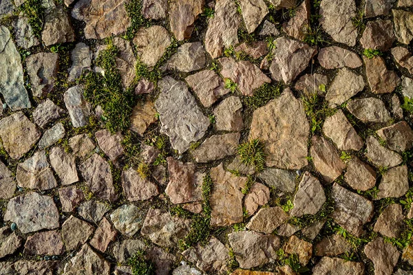 Natursteinpflaster mit kleinem Gras und Pflanzen zwischen den Steinen lizenzfreie Stockfotos