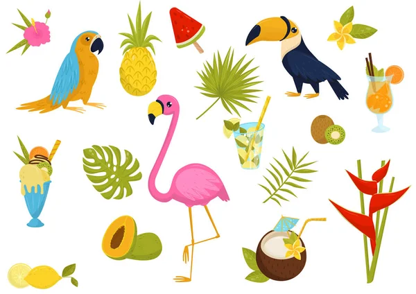 Flat vector set of tropical elements. Beautiful birds, tasty cocktails and fruits, ice-cream, flowers and leaves of palm trees
