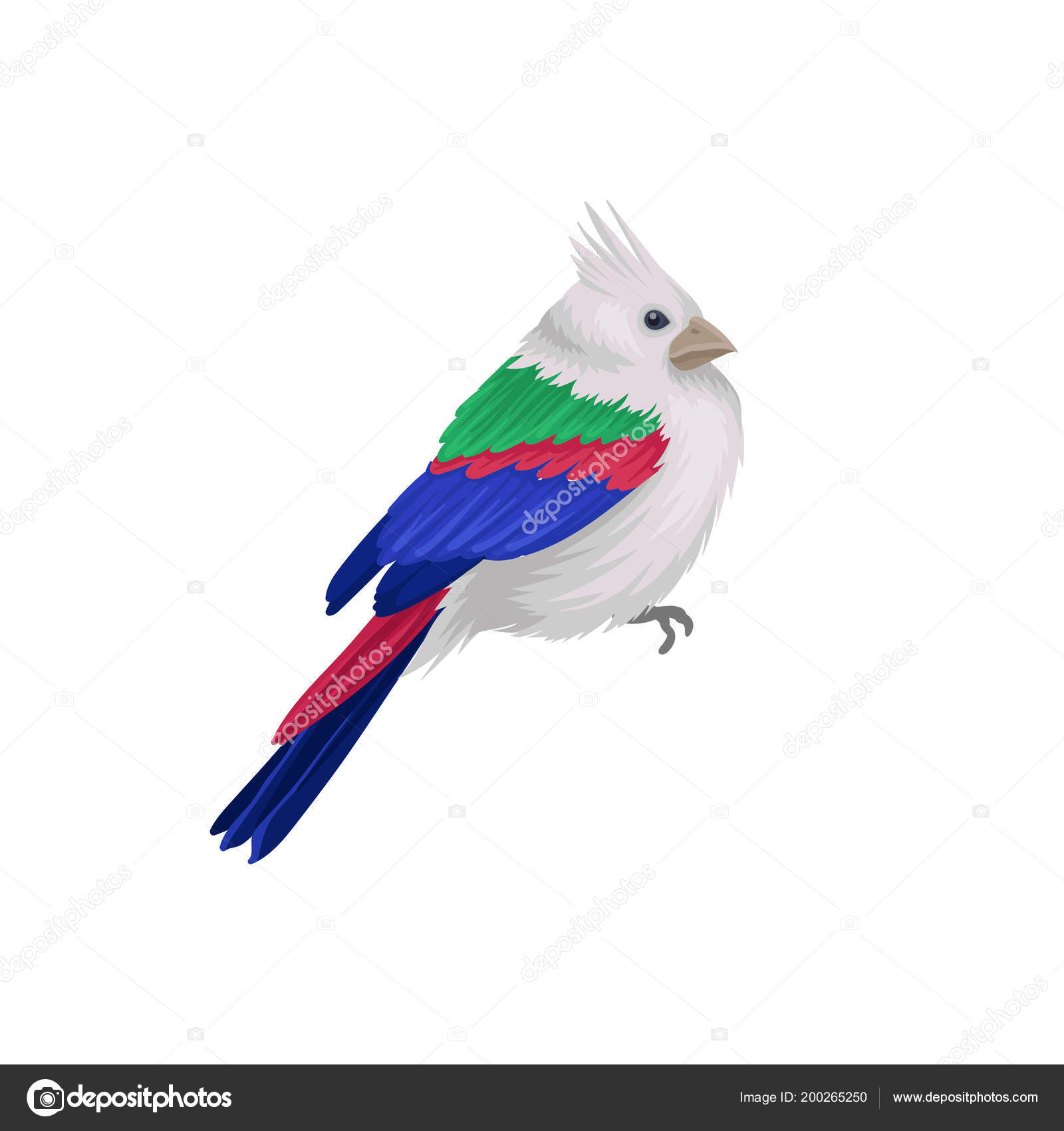 Petit Oiseau Exotique Avec Crête Et Les Plumes Colorées