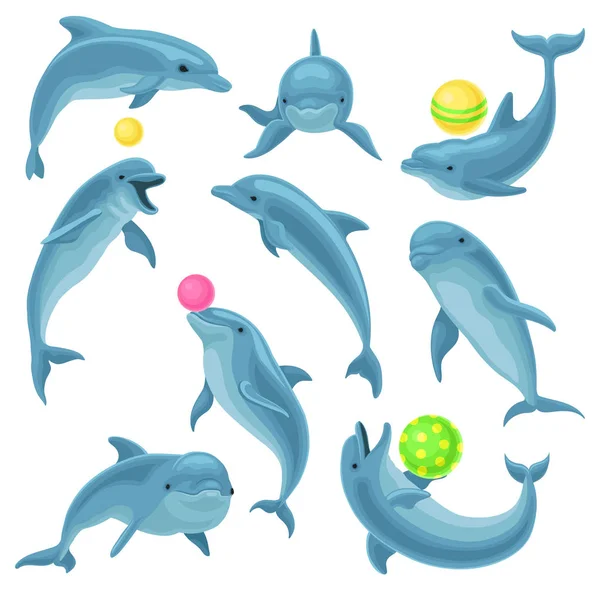 Dolphinariaストックベクター ロイヤリティフリーdolphinariaイラスト Depositphotos