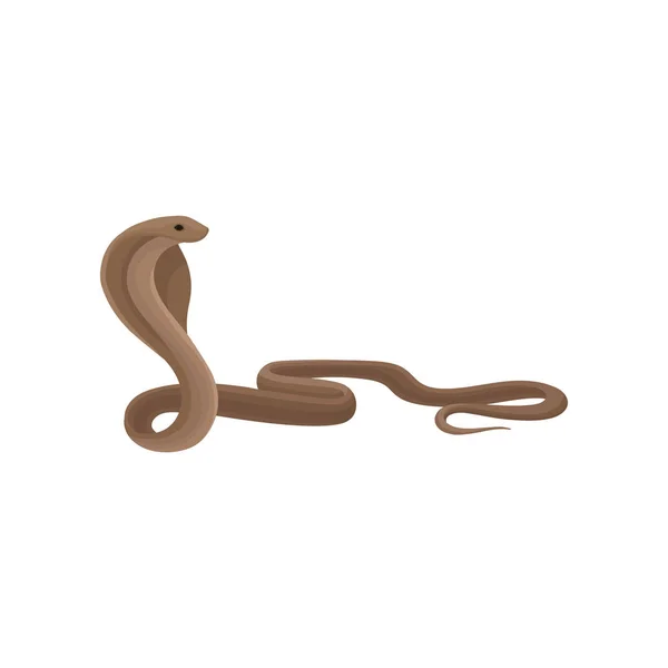 Cobra snake reptile animal vector Illustration on a white background