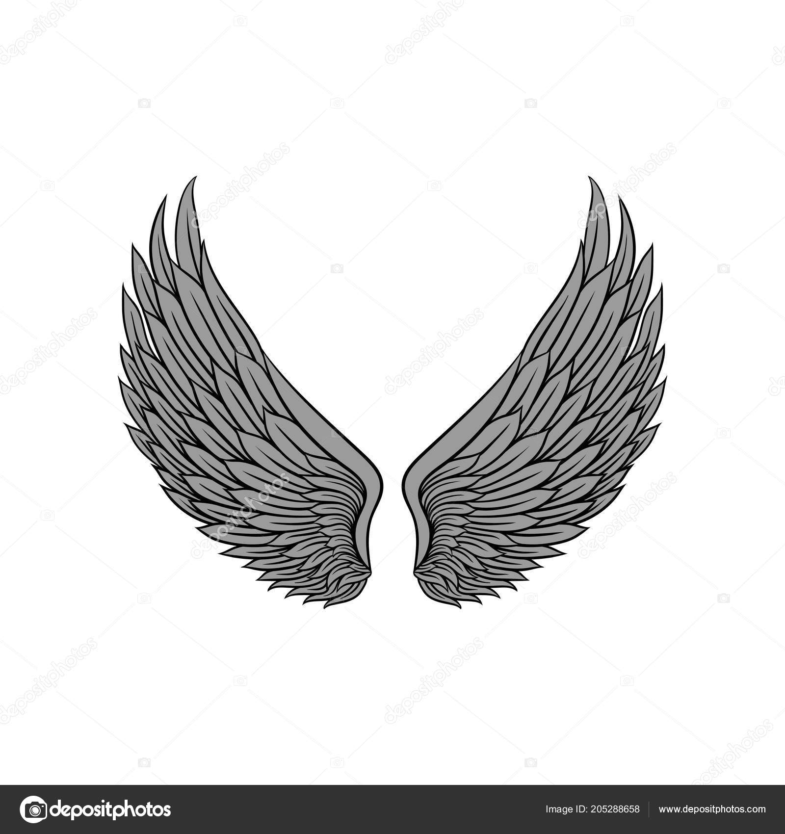 Belles Héraldiques Ailes Avec Des Plumes Doiseau Ou Ange