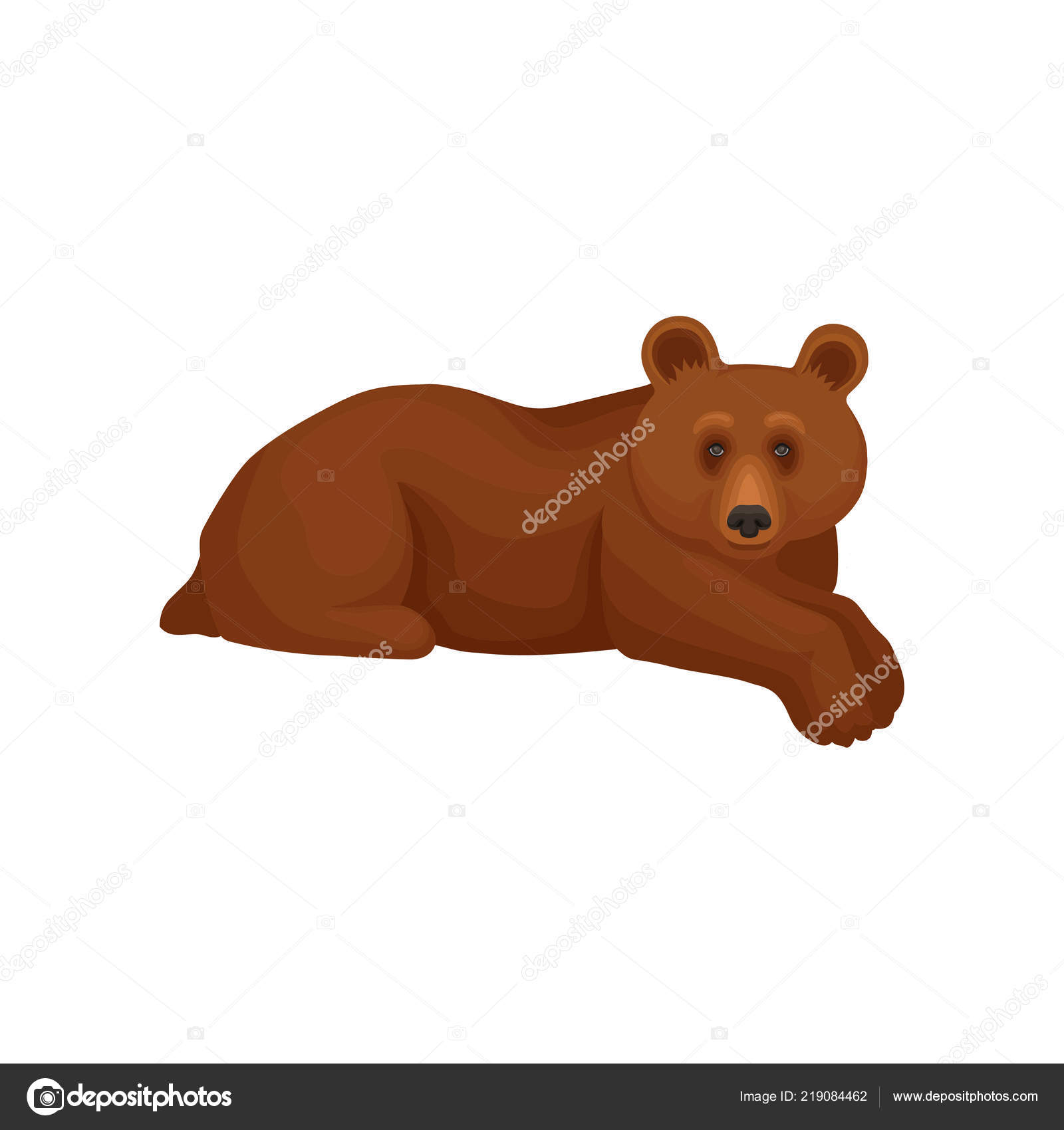 fofo urso grande mentir