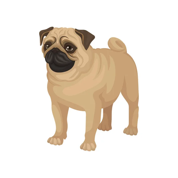 Pug Dogストックベクター ロイヤリティフリーpug Dogイラスト ページ 84 Depositphotos