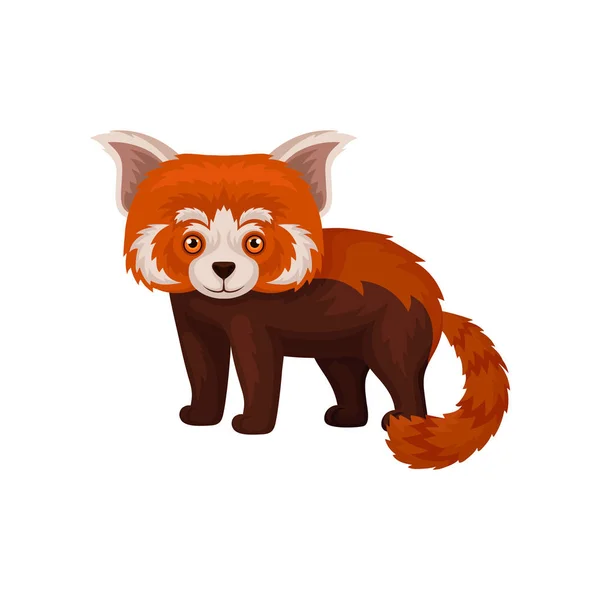 Krasnaya Panda Golova Vector Art Stock Images ページ 3 Depositphotos
