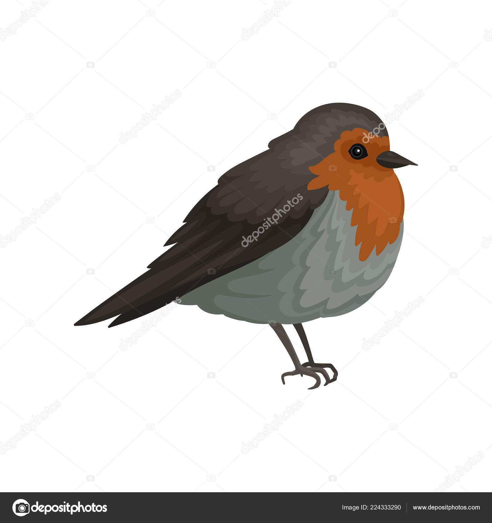 Icône Plate Vecteur Du Rouge Gorge Petit Oiseau Chanteur