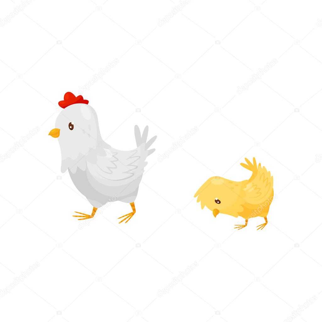 white hen walking with little yellow chick domestic fowl cartoon characters of farm birds graphic element for children book or poster colorful flat vector illustration isolated on white background premium vector wdrfree