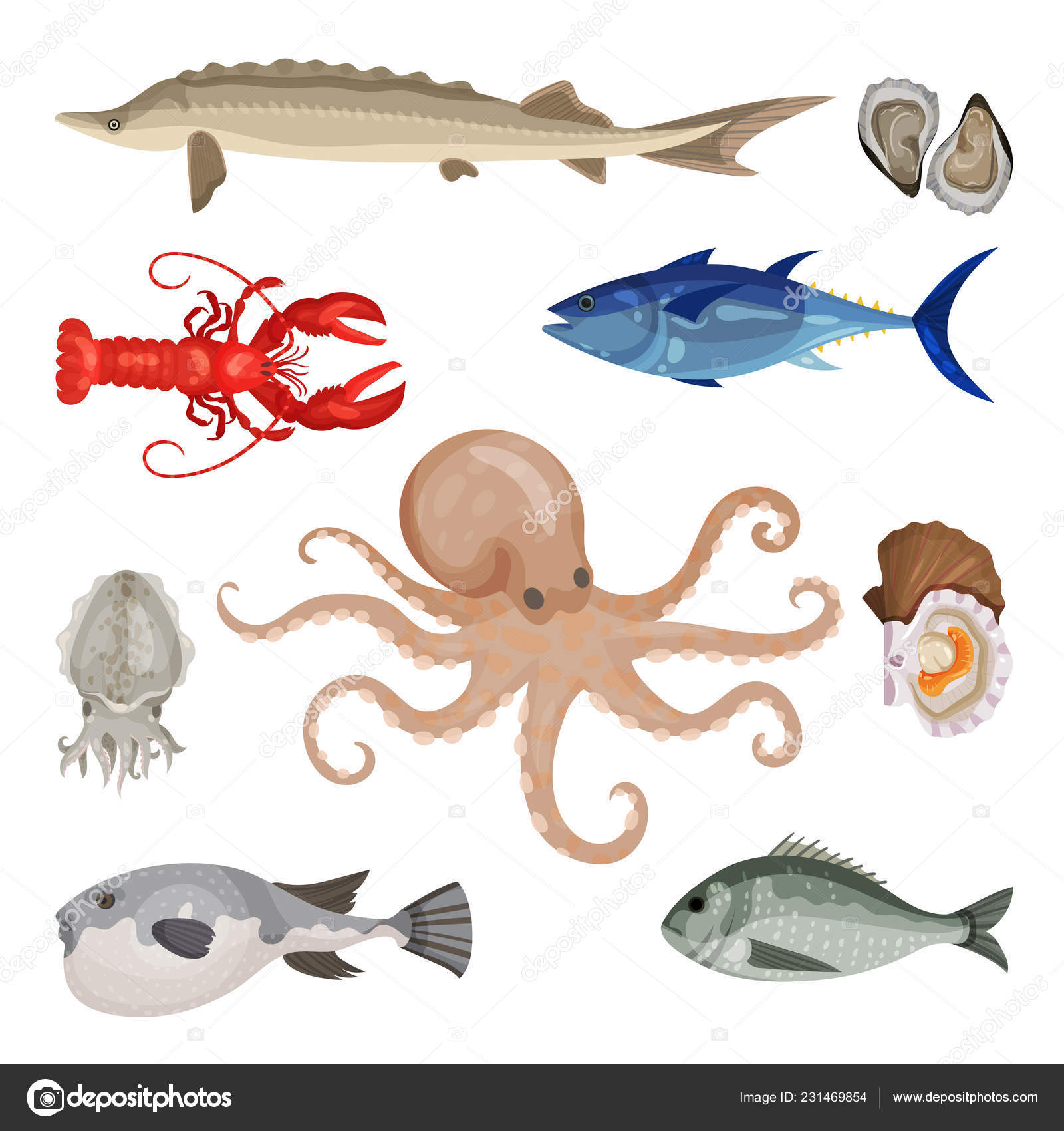 すべての動物の画像 エレガント魚介 類 イラスト すべての動物の画像 エレガント魚介 類 イラスト