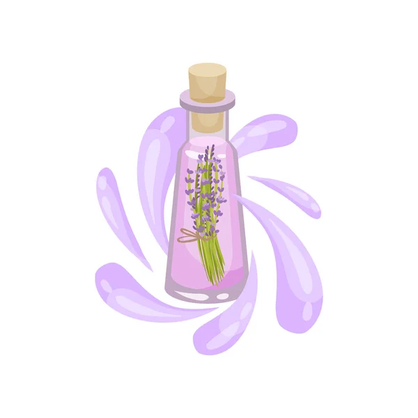 Bunch of lavender flowers in small glass bottle with cork lid, purple drops of essential oil. Natural cosmetic. Organic skin care product. Colorful flat vector design isolated on white background.