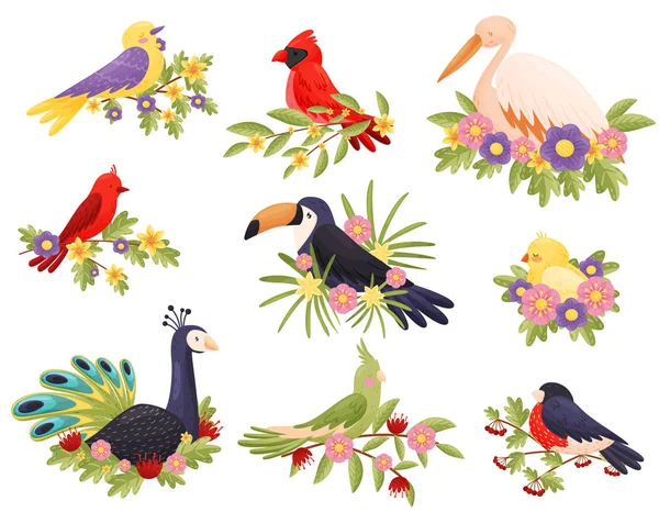 Colorful birds sitting on branches. Animals and spring.