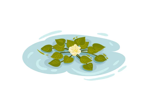 Small flower white lilies among the leaves. Vector illustration on white background.