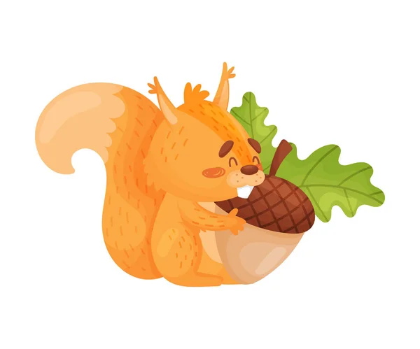 Squirrel Holding Nutストックベクター ロイヤリティフリーsquirrel Holding Nutイラスト ページ 2 Depositphotos Squirrel Holding Nutストックベクター ロイヤリティフリーsquirrel Holding Nutイラスト ページ 2 Depositphotos