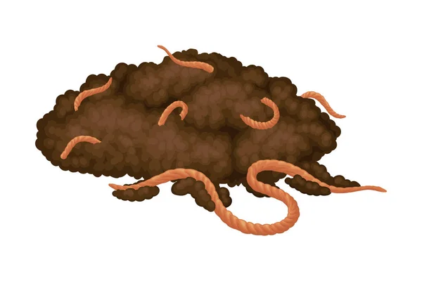 Pile of Topsoil with Earthworms as Organic Fertilizer for Soil and Plant Growth Vector Illustration — Stock Illustration Pile of Topsoil with Earthworms as Organic Fertilizer for Soil and Plant Growth Vector Illustration Stock Vector