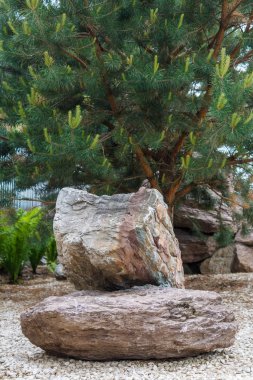 Dekoratif taş taş üzerinde bir grup peyzaj tasarımı yapılan yarda dekorasyon olarak.