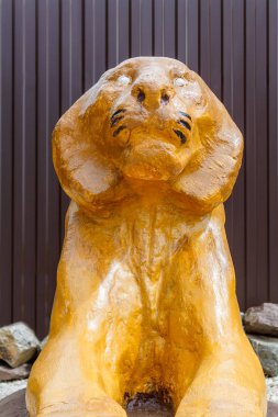 Bir ev dekorasyon ve şans, güç ve güç sembolü olarak dekoratif sarı aslan yalan.