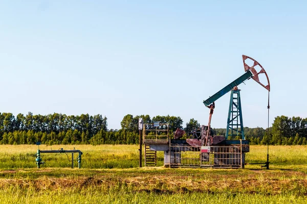 The oil pump works in summer in a green field against a background of green trees and a blue sky.