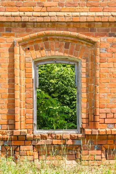 Window of the old destroyed building of red brick through which you can see green plants and grass.