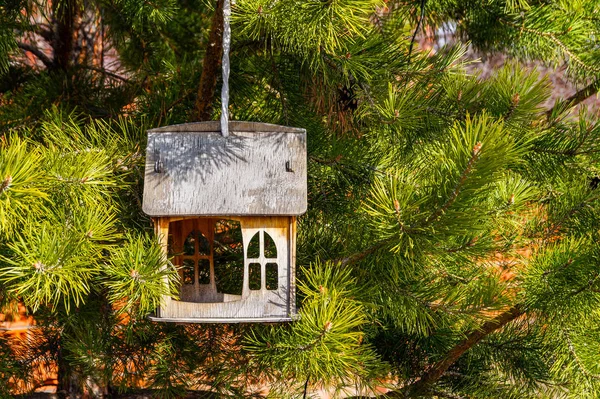 Einem Grünen Fichtenzweig Hängt Ein Neues Vogelfutterhäuschen Form Eines Hauses — Stockfoto