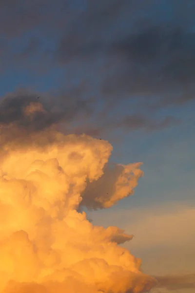 Arka plan veya ekoloji veya doğa için mavi bir gökyüzünde büyük beyaz Cumulus bulutlar. Yaz gökyüzü.