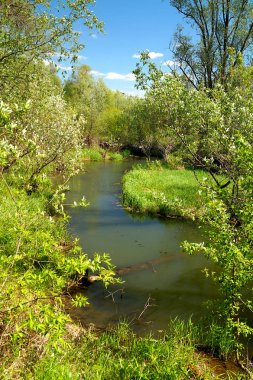 Güzel yaz manzara nehir banka ve gökyüzü beyaz bulutlar ile. Yaz doğası.