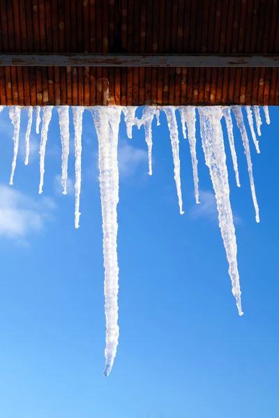 Wiele Dużych Ostrych Sople Powiesić Dachu Domu Seasons — Zdjęcie stockowe