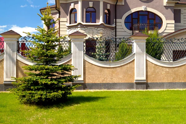 Yeşil ladin zengin bir evin önünde dekoratif taş bir duvar önünde yeşil bir çim üzerinde yetişir. Peyzaj.