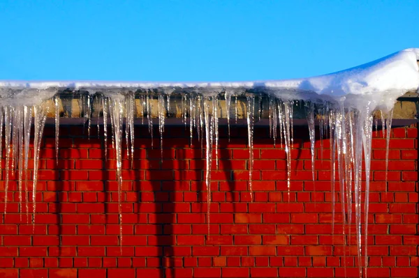 Muitos Grandes Afiados Icicles Pendurados Telhado Casa Épocas Fotos De Bancos De Imagens Sem Royalties