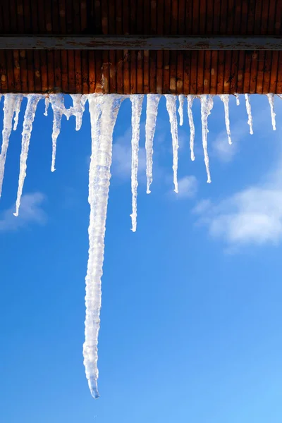 Wiele Dużych Ostrych Sople Powiesić Dachu Domu Seasons — Zdjęcie stockowe