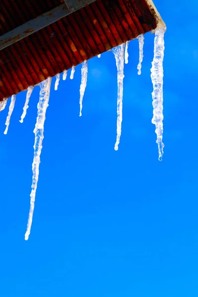 Birçok Büyük Keskin Buz Sarkıtları Evin Çatısında Asılı Seasons — Stok fotoğraf