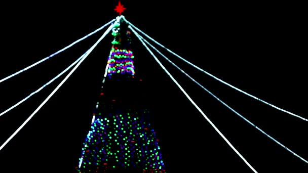 Téli fa, éjjel a fekete háttér. A koncepció a karácsonyi újév out-of-fókusz blur szelektív fókusz — Stock videók