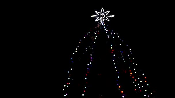 Winter boom kerstboom op zwarte achtergrond close-up — Stockvideo