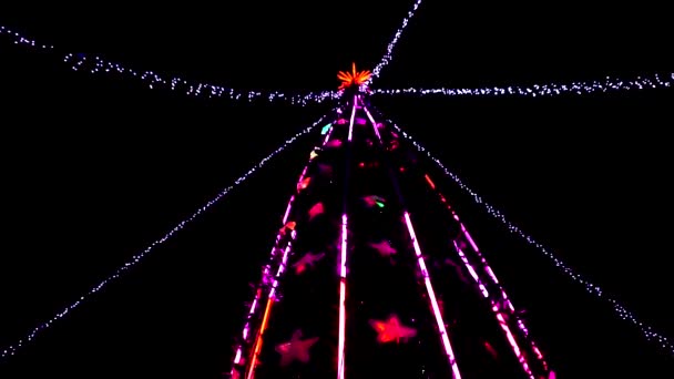 Winter boom kerstboom op zwarte achtergrond close-up — Stockvideo